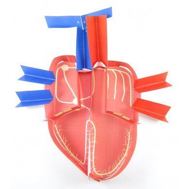 electrical control of the heart origami organelle