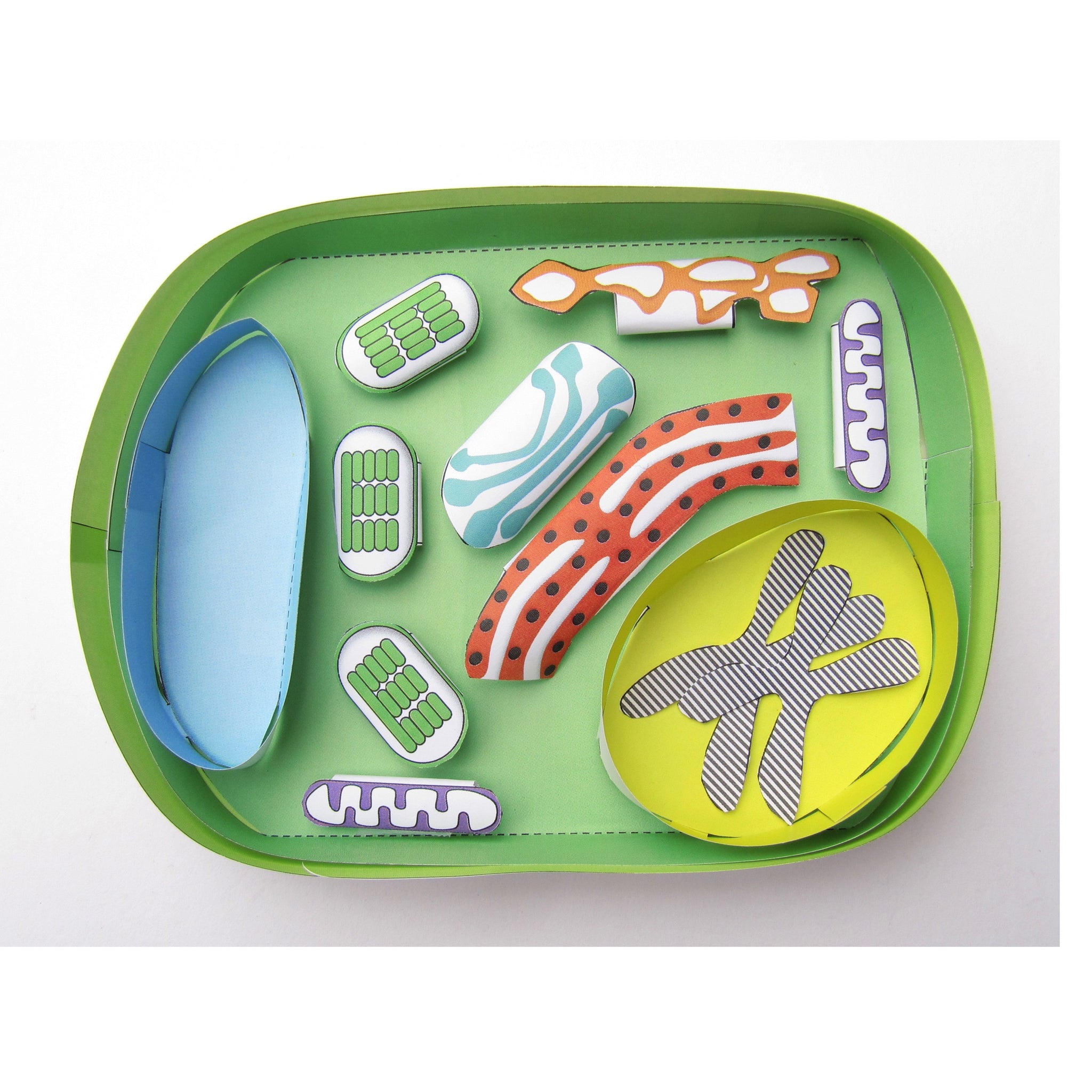 Plant Cell – Origami Organelles