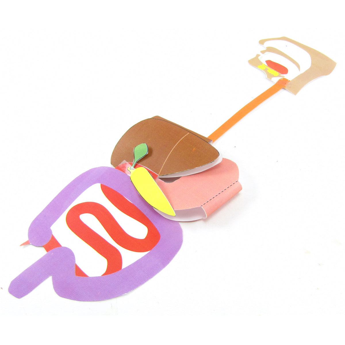 Origami Colon Simple Digestive System – Origami Organelles