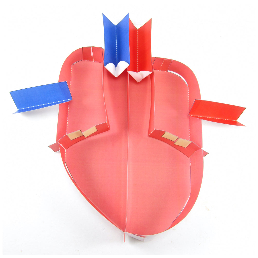 simple heart origami organelle