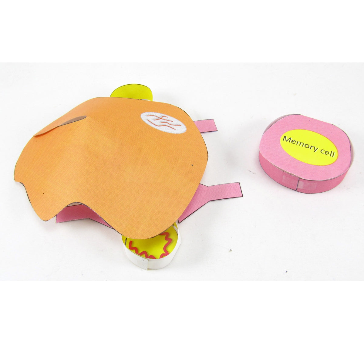 Vaccinations – Origami Organelles