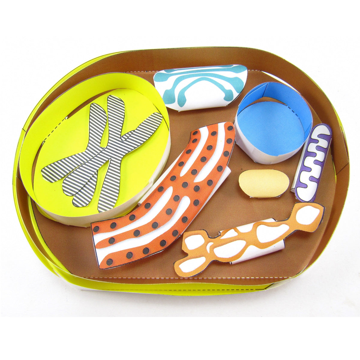 Simple Yeast Cell – Origami Organelles